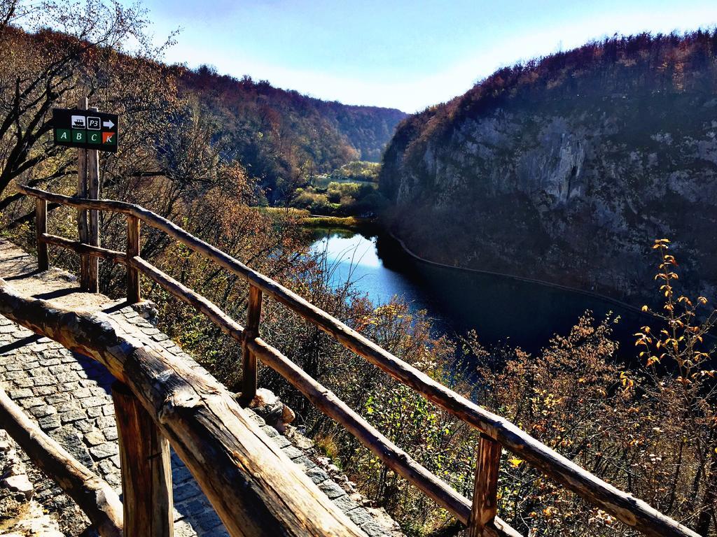 Guesthouse Kovacevic Кореница Екстериор снимка